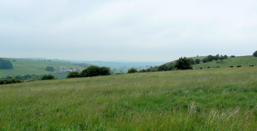 Darley Dale Darley Dale